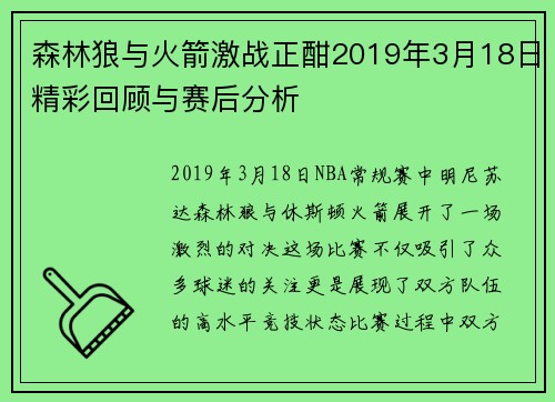 森林狼与火箭激战正酣2019年3月18日精彩回顾与赛后分析