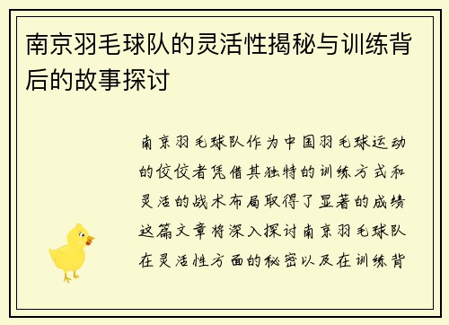 南京羽毛球队的灵活性揭秘与训练背后的故事探讨