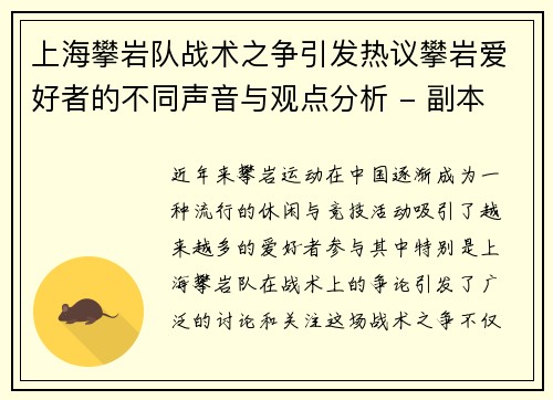 上海攀岩队战术之争引发热议攀岩爱好者的不同声音与观点分析 - 副本